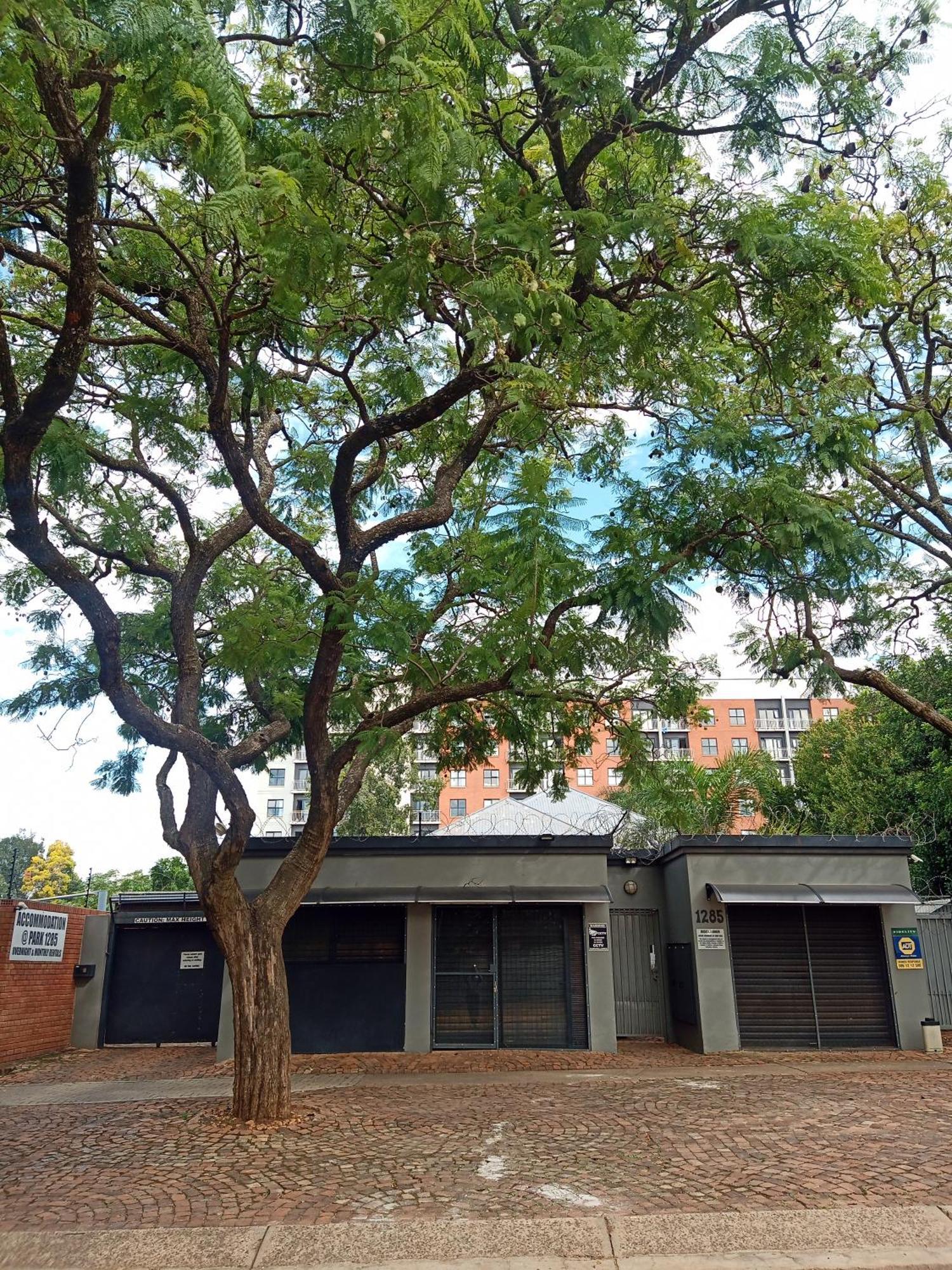 Accommodation@Park1285 Pretoria-Noord Esterno foto