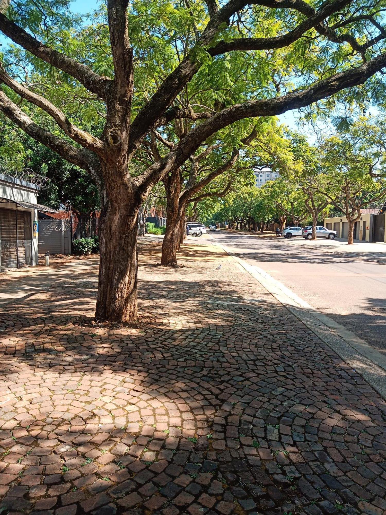 Accommodation@Park1285 Pretoria-Noord Esterno foto